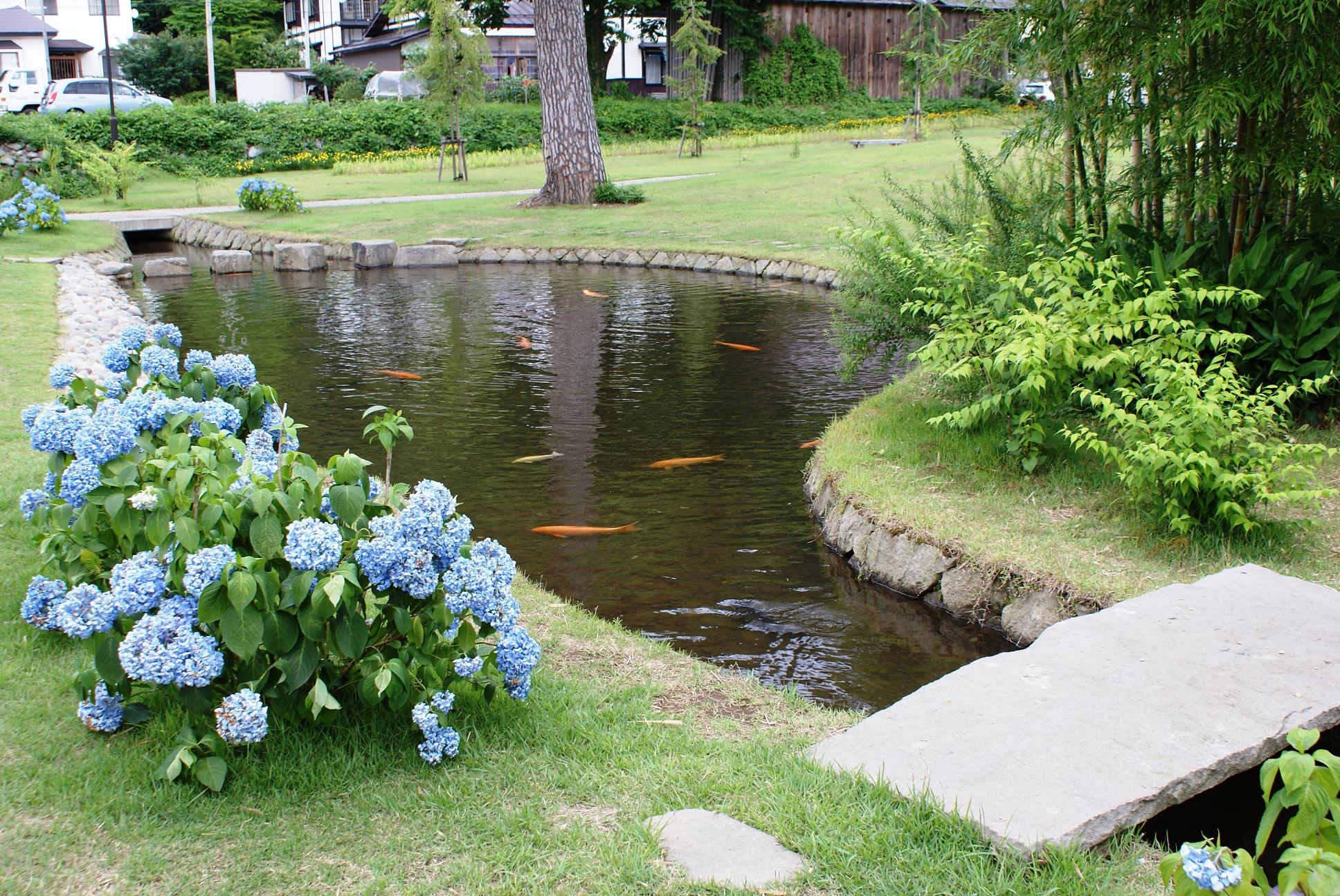 Digging An Outdoor Pond 40