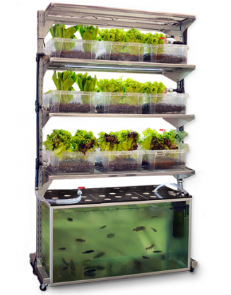 Aquaponic Vertical Gardens - For Smaller Homestead Indoor ...