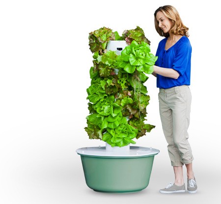Aquaponic Vertical Gardens  For Smaller Homestead Indoor Gardening  Institute of Ecolonomics