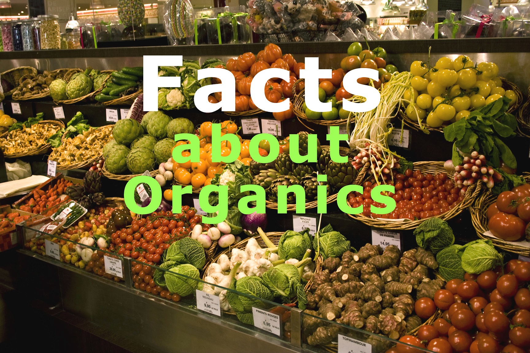 organic-food-definition-and-meaning-market-business-news