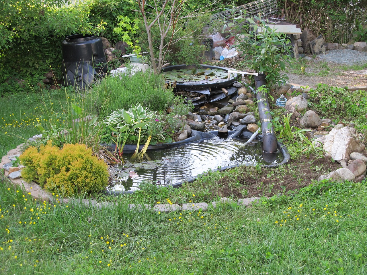 DIY - Build a Natural Fish Pond in Your Backyard ...
