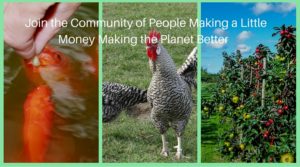 Join the Community of People Making a Little Money Making the Planet Better