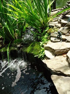 450px-Waterfall_and_garden