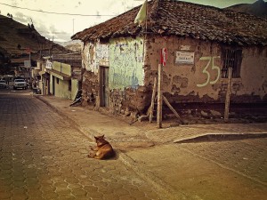 ecuador-298335_1920