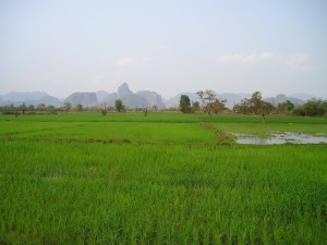 laos-451_1280