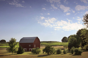 640px-Pastoral-barn