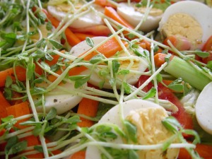 salad-386792_1280