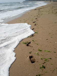 footprints-434697_1280