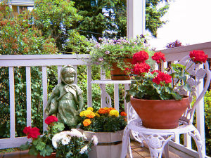 640px-Container_garden_on_front_porch