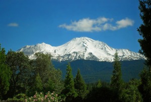 mount-shasta-378648_1280