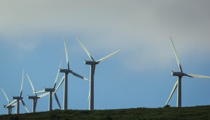 wind-farm-435790_1280