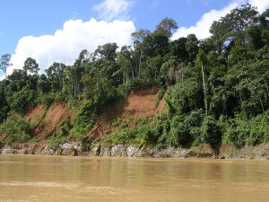 640px-Rio_Madre_de_Dios,_Peru