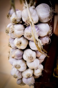 garlic-428116_1280