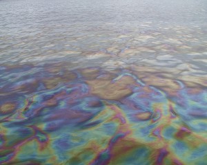 spill-cleanup-oilspill-11848486-o-300x240