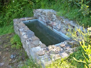 water-trough-373059_1280