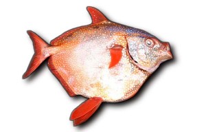 Moonfish