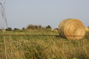 hay-bale-441064_1280