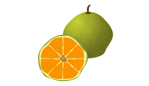 ugli-fruit-789211_1280