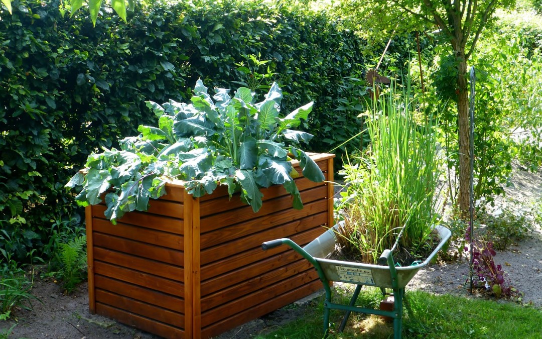 5 Ways to Grow Your Garden Without  The Hard Work