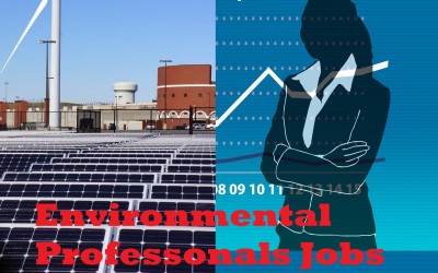 Top Paying Green Jobs for Environmental Professionals