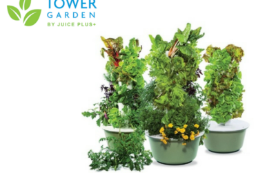 Aquaponic Vertical Gardens – For Smaller Homestead Indoor Gardening