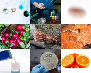 Food safety collage