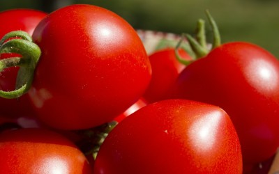 5 Tips for Building an Organic Vegetable Garden in Your Backyard
