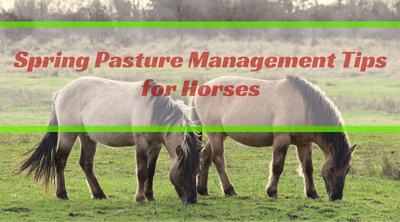 pasture management