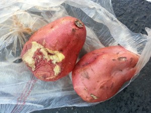 sweet potatoes