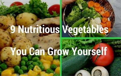 9 Nutritious Vegetables You Can Grow Yourself
