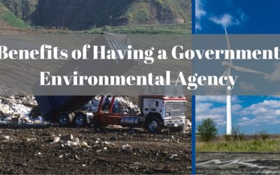 Benefits of Having a Government Environmental Agency