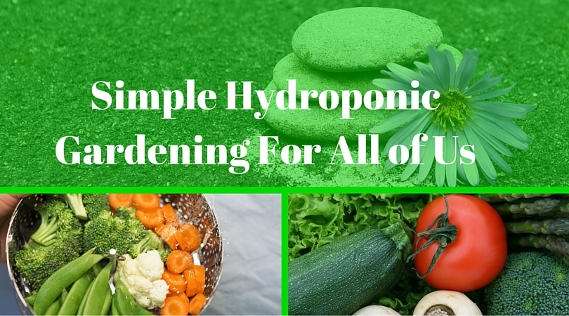 hydroponic gardening