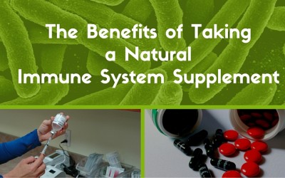 The Benefits of Taking a Natural Immune System Supplement