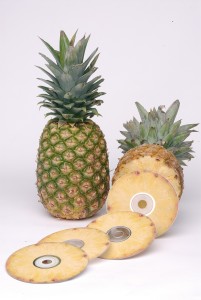 pineapple 