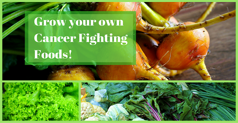 5 Plants that Fight Disease – Grow  Your Own at Home!