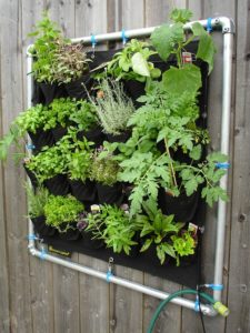 wall garden