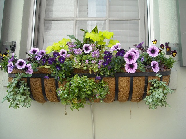 vertical garden