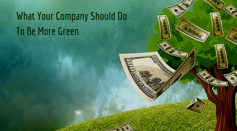 What Your Company Should Do To Be More Green