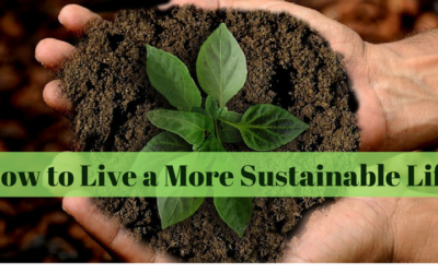 How to Live a More Sustainable Life
