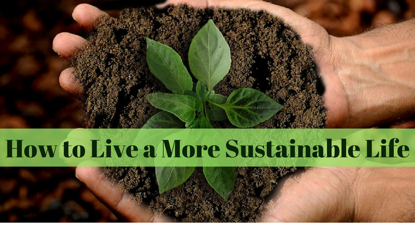 How to Live a More Sustainable Life