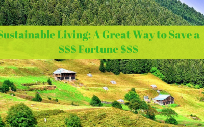 Sustainable Living: A Great Way to Save a Fortune