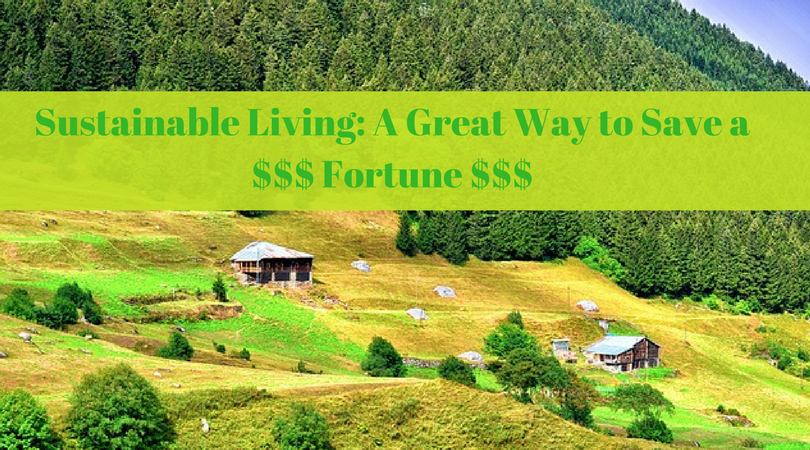 Sustainable Living: A Great Way to Save a Fortune