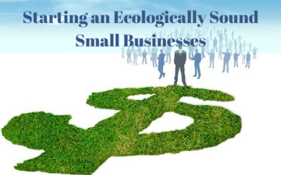 Starting an Ecologically Sound Small Businesses