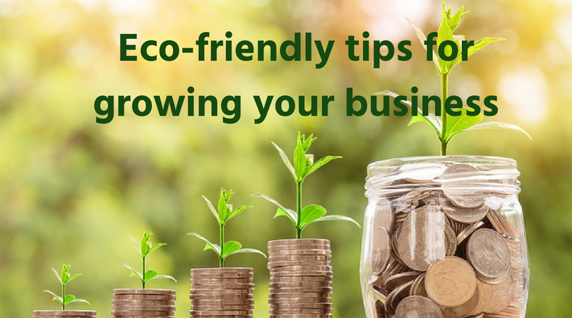 Eco-friendly tips for growing your business