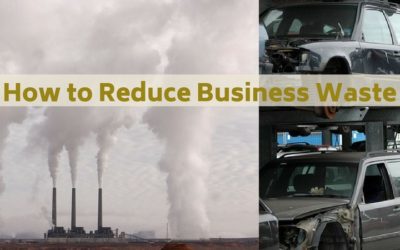 How to Reduce Business Waste