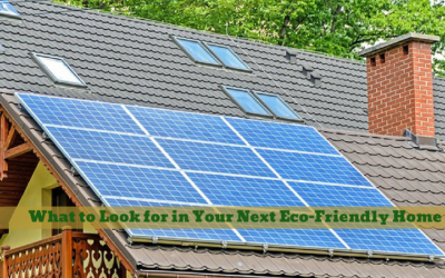 What to Look for in Your Next Eco-Friendly Home