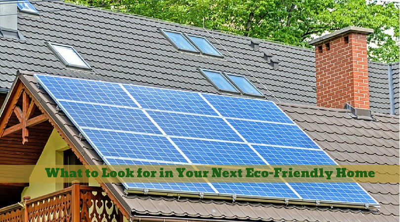 What to Look for in Your Next Eco-Friendly Home