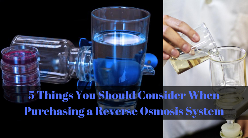 5 Things You Should Consider When Purchasing a Reverse Osmosis System