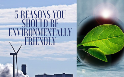 5 Reasons You Should Be Environmentally Friendly