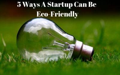 5 Ways A Startup Can Be Eco-Friendly